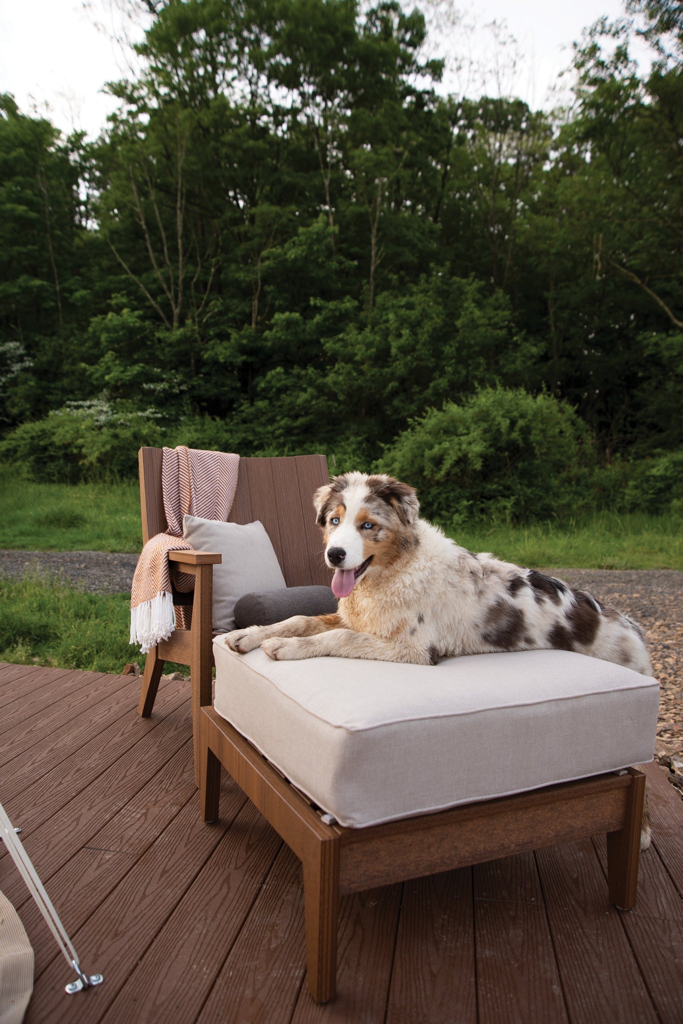 Mayhew Chat Swivel Bar Chair